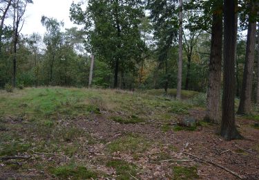 Excursión A pie Epe - Welkom op Scherpenberg en Majuba!, Gele route - Photo