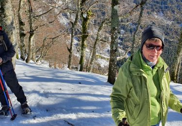 Trail Snowshoes Le Valtin - 3Fours - Photo