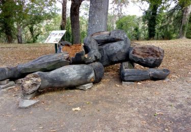 Tour Wandern Verneuil-en-Bourbonnais - verneuil en bourbonnais - Photo