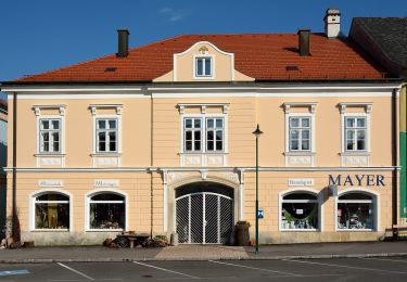 Tocht Te voet Gemeinde Aspang - Rundwanderweg 7 (Aspang) - Photo