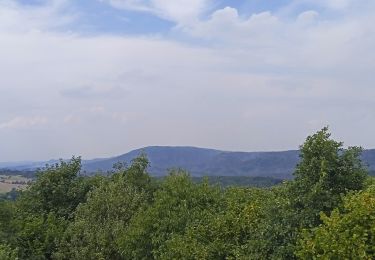 Tour Zu Fuß Rosendorf - NS Růžová - Photo