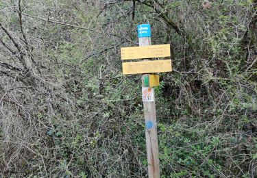 Trail Walking Grane - De Val Brian au Mont Brian - Photo