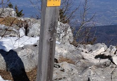 Percorso Racchette da neve Autrans-Méaudre en Vercors - La Quoi 2022 - Photo