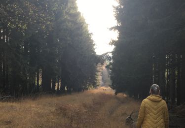 Trail Walking Aywaille - Remouchamps  - Photo