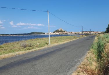 Tocht Mountainbike Gruissan - Gruissan narbonne par les pistes cyclables et petites routes.  - Photo
