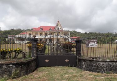 Excursión Senderismo La Trinité - Cosmy - Bois Jadé - Merveilleux en boucle  - Photo