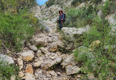 Excursión Senderismo Gémenos - reco petit Tony gt  18 nov 24 - Photo