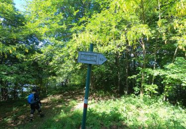 Tour Zu Fuß Carenno - Sentiero 811: Carenno - Colle di Sogno - Pertüs - Photo