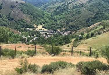 Tocht Stappen Mont Lozère et Goulet - Le Bleymard Le Pont de Montvert  - Photo