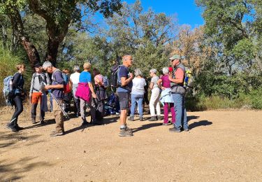 Percorso Marcia Les Arcs-sur-Argens - Vidauban - Tournavelle - Photo