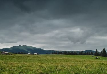 Tocht Te voet  - Popas Zugreni – Vf. Giumalău – gara Valea Putnei (blue dot) - Photo