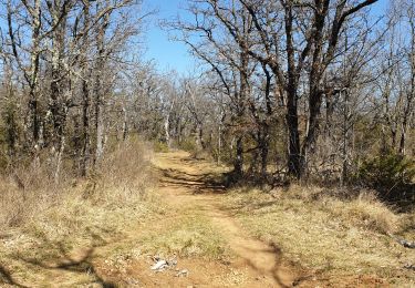 Tour Wandern Plan-d'Aups-Sainte-Baume - Source de l'Huveaune depuis l'hôtellerie de la Sainte Baume - Photo