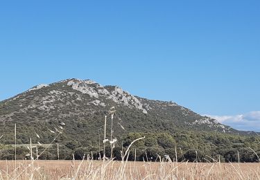 Tocht Stappen Jouques - Montagne de Vautubiere - Photo