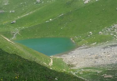 Excursión Senderismo Aime-la-Plagne - col du coin lac d'amour Areches - Photo