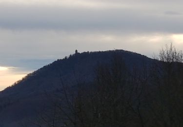 Trail Walking Lièpvre - Liépvre - Roche des Fées, Roche de Chalmont, Rocher du Coucou, château du Frankenbourg - Photo