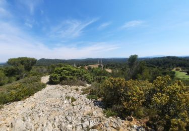 Trail Walking Tarascon - St Michel de Frigolet  - Photo