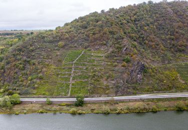 Tocht Te voet Niederfell - Schwalberstieg - Photo