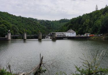 Trail Walking Houffalize - NISRAMONT ... le tour du lac. - Photo