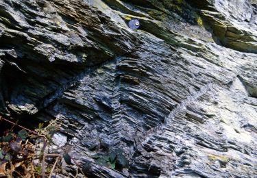 Tour Zu Fuß Hürtgenwald - Ochsenkopf-Weg - Photo