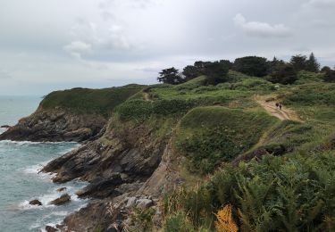 Tour Wandern Plouha - Plouha Plage Bonaparte - GR34 Chapelle Saint-Marc - 22.9km 465m 5h20 (35mn) - 2024 07 02 - Photo