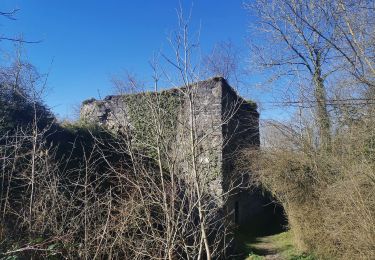 Excursión Senderismo Dinant - DINANT ... d'un versant à l'autre dans la cité des Copères. - Photo