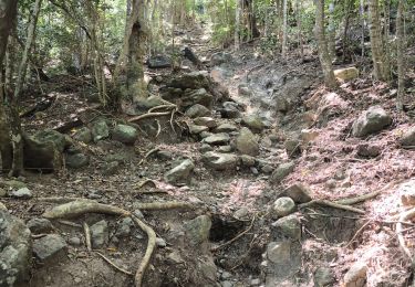 Tocht Stappen Deshaies - Guadeloupe - Littoral Deshaies - Photo