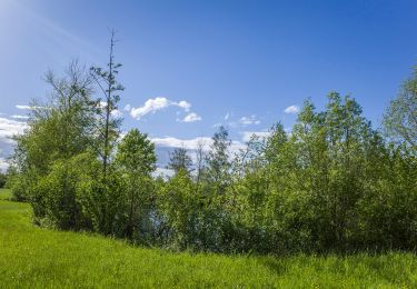 Percorso A piedi Knetzgau - KNE1 - Photo