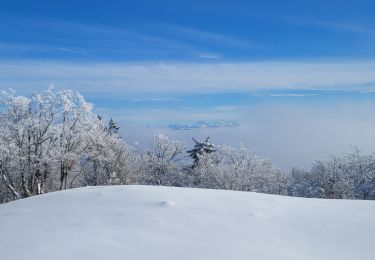 Tour Schneeschuhwandern Haut Valromey - raquettes la chapelle de retort croix de montlery - Photo