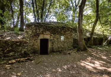 Excursión Senderismo Saint-Cyr-au-Mont-d'Or - Le mont Thou et le chemin des Cabornes - Photo