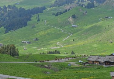 Percorso Marcia Le Reposoir - Col des Annes du Reposoir - Photo