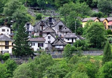 Randonnée A pied Verzasca - Alnasca - ? - Photo