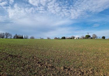 Randonnée Marche Monferran-Savès - ses les terres de Monferran Saves et plus - Photo