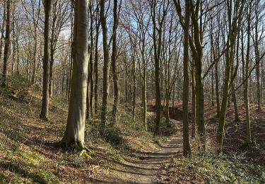 Tour Wandern Jemeppe-sur-Sambre - Spy - Photo