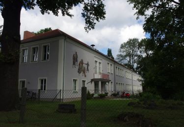 Tour Zu Fuß Briesen - Rundwanderweg Marienberge - Photo