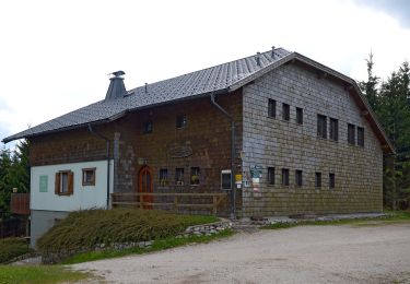 Trail On foot Gemeinde Gutenstein - Zinsenstein-Öhlerschutzhaus - Photo