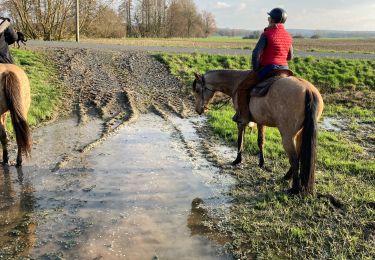 Trail Horseback riding Reherrey - Mardi 27 février 24 Tivio reherey  - Photo