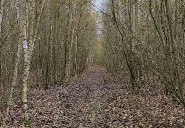 Tocht Stappen Grâce-Hollogne - Randonnée à Bierset  - Photo