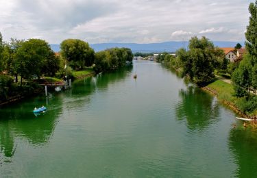 Excursión A pie Murten - Murten Schiffstation – Sugiez gare - Photo