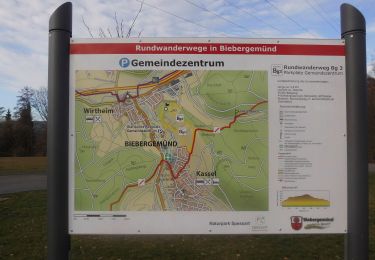 Tocht Te voet Biebergemünd - Biebergemünd - Rundwanderweg Bg 3 - Photo