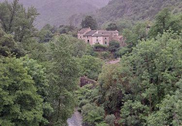 Tocht Stappen Rogues - Vallée de la Vis - Photo