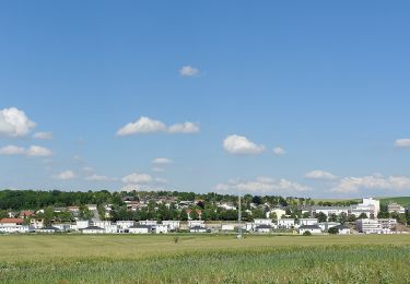 Percorso A piedi Gemeinde Mistelbach - tutgut-Wanderweg Route 3 - Photo