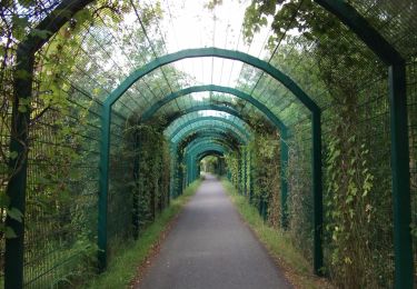 Excursión A pie Kasendorf - Rundweg Roter Ring Thurnau - Photo