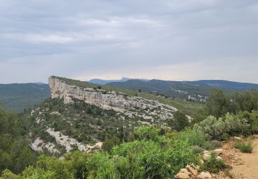 Trail Walking Cassis - rando les cigales la couronne de Charlemagne  - Photo