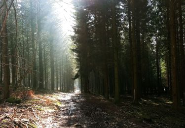 Percorso Mountainbike Durbuy - Col Rideux 15 - Photo