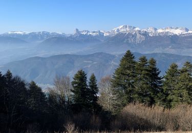 Tocht Stappen La Motte-Saint-Martin - Sinnepi - Photo