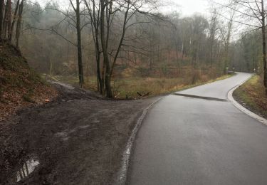 Tour Zu Fuß Nandrin - Les rochettes Bois des dames - Photo