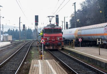 Randonnée A pied Mureck - Grenzland Bahnweg - Photo