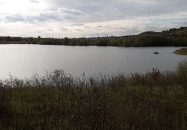 Tour Wandern Sotteville-sous-le-Val - Sotteville-sous-le-Val vers Freneuse 11 km - Photo
