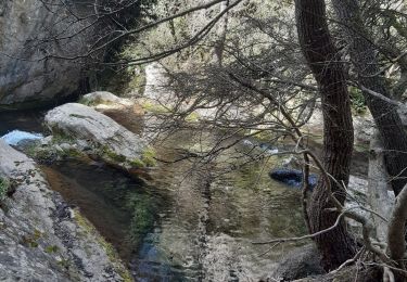 Excursión Senderismo Buoux - parking barbe blanche  l'aigue brun La Baume de l'eau de JR - Photo