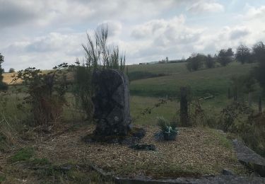 Tour Wandern Léglise - Tour des Croix - Photo